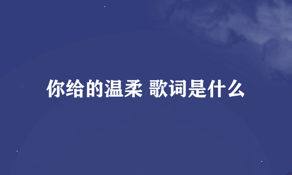 你给的温柔 歌词是什么