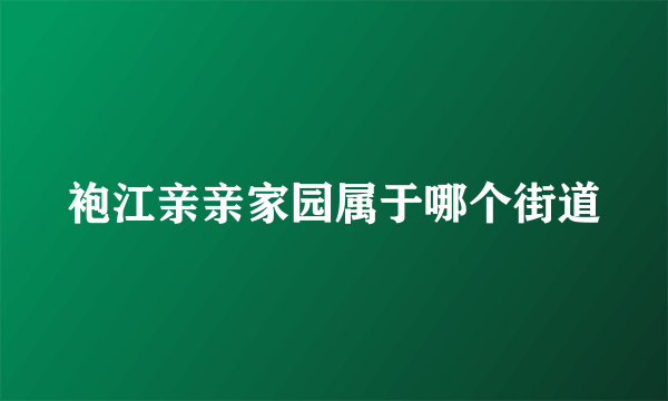 袍江亲亲家园属于哪个街道