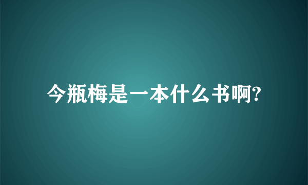 今瓶梅是一本什么书啊?