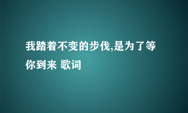 我踏着不变的步伐,是为了等你到来 歌词