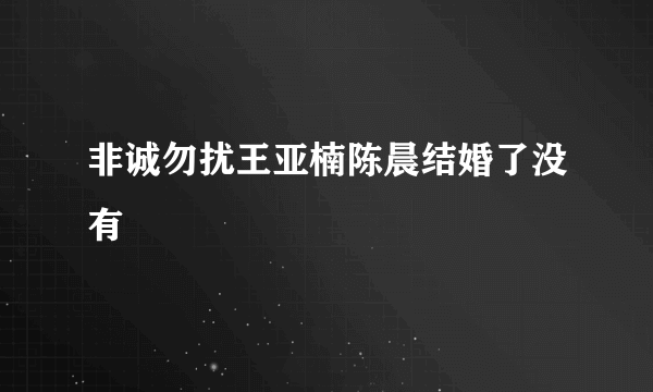 非诚勿扰王亚楠陈晨结婚了没有