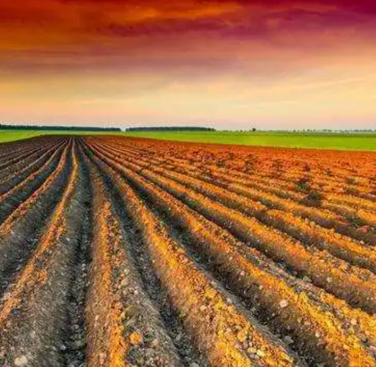 乌克兰玉米蔬菜大幅减产，与哪些因素有关？
