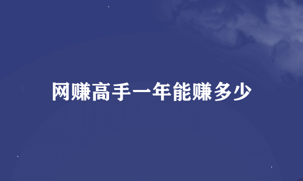 网赚高手一年能赚多少