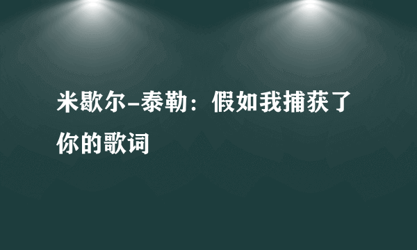 米歇尔-泰勒：假如我捕获了你的歌词