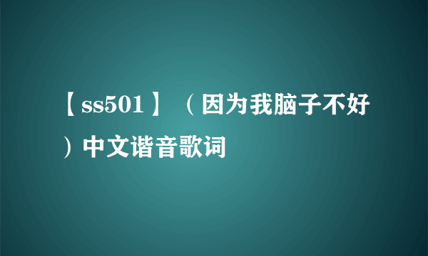 【ss501】 （因为我脑子不好）中文谐音歌词