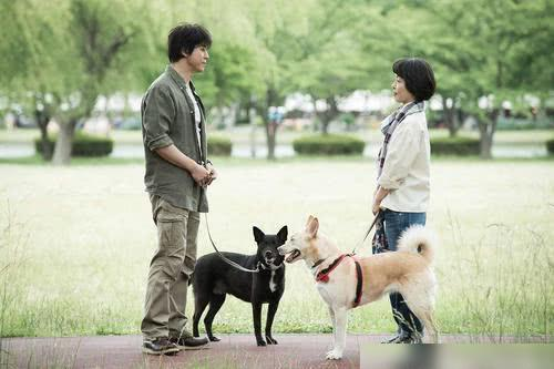 电影《爱犬奇缘》杀青，你平时会看这类的电影吗？