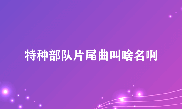 特种部队片尾曲叫啥名啊