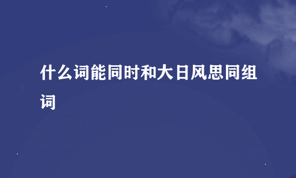 什么词能同时和大日风思同组词