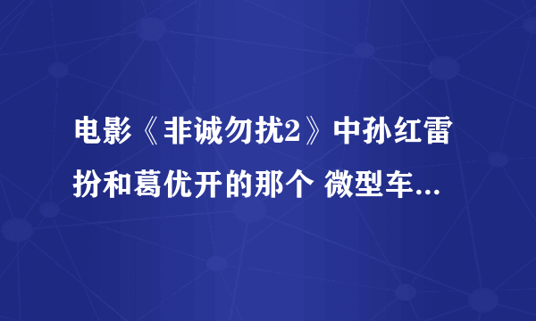 电影《非诚勿扰2》中孙红雷扮和葛优开的那个 微型车是什么车？