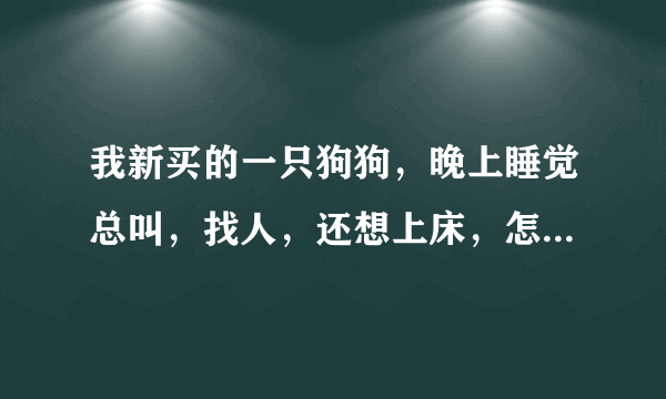 我新买的一只狗狗，晚上睡觉总叫，找人，还想上床，怎么办？？不理它它叫声太大我门都睡不着