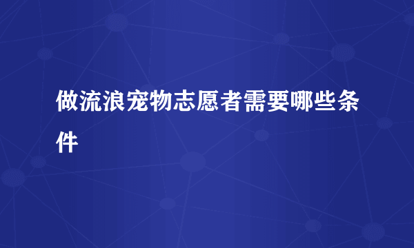 做流浪宠物志愿者需要哪些条件