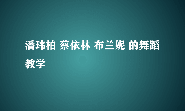 潘玮柏 蔡依林 布兰妮 的舞蹈教学