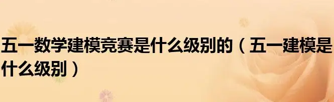 五一建模属于省级还是国家级