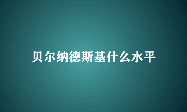 贝尔纳德斯基什么水平