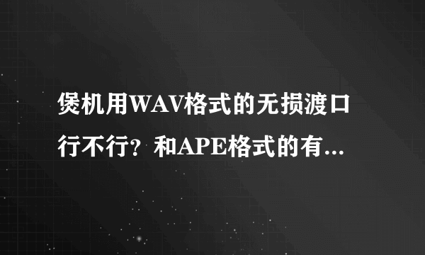 煲机用WAV格式的无损渡口行不行？和APE格式的有没有区别