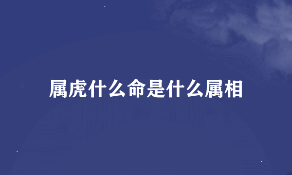 属虎什么命是什么属相