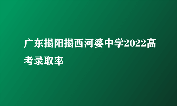 广东揭阳揭西河婆中学2022高考录取率