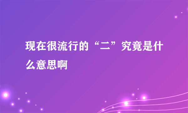 现在很流行的“二”究竟是什么意思啊