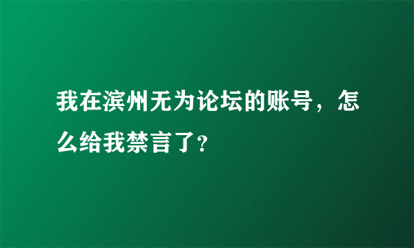 我在滨州无为论坛的账号，怎么给我禁言了？