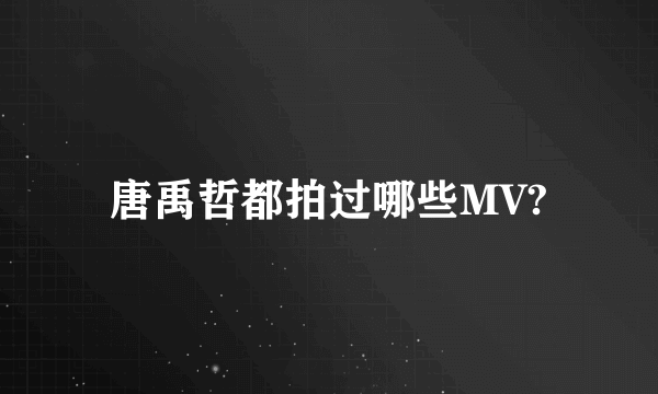 唐禹哲都拍过哪些MV?