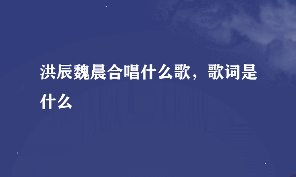 洪辰魏晨合唱什么歌，歌词是什么