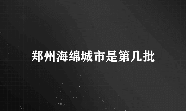 郑州海绵城市是第几批