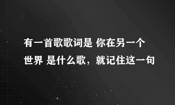 有一首歌歌词是 你在另一个世界 是什么歌，就记住这一句