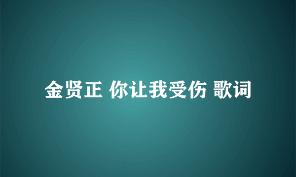 金贤正 你让我受伤 歌词