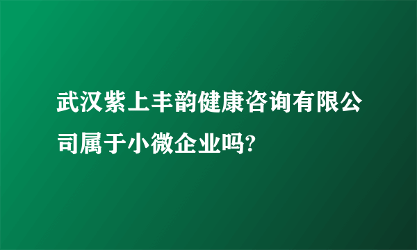 武汉紫上丰韵健康咨询有限公司属于小微企业吗?