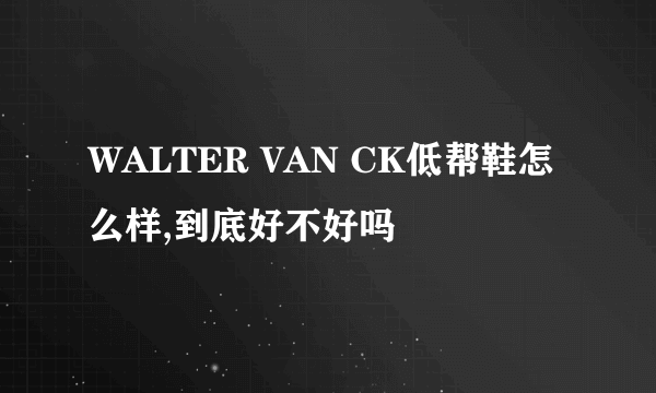 WALTER VAN CK低帮鞋怎么样,到底好不好吗