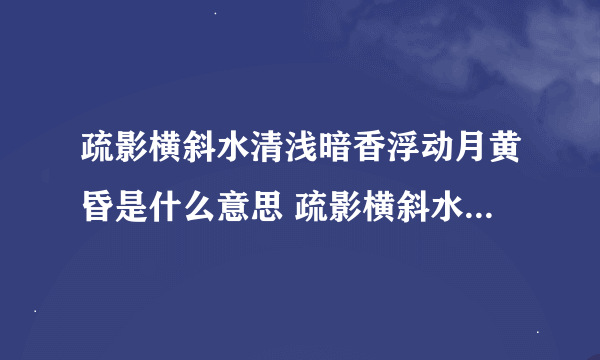 疏影横斜水清浅暗香浮动月黄昏是什么意思 疏影横斜水清浅暗香浮动月黄昏释义