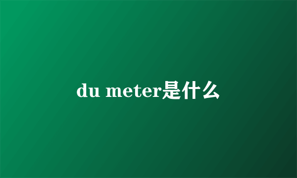 du meter是什么