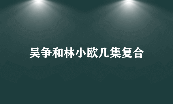 吴争和林小欧几集复合