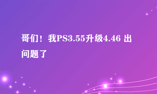 哥们！我PS3.55升级4.46 出问题了