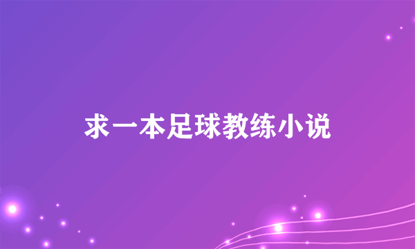 求一本足球教练小说