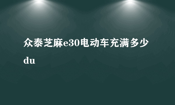 众泰芝麻e30电动车充满多少du