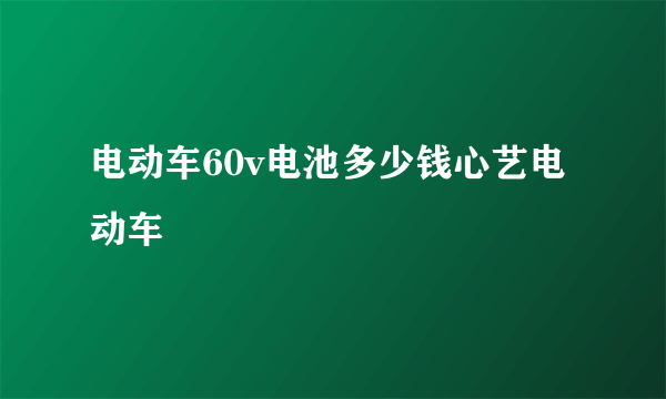 电动车60v电池多少钱心艺电动车