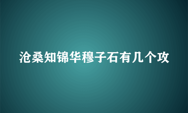 沧桑知锦华穆子石有几个攻