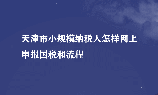 天津市小规模纳税人怎样网上申报国税和流程