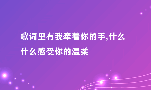 歌词里有我牵着你的手,什么什么感受你的温柔