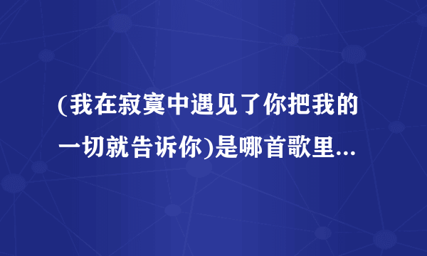 (我在寂寞中遇见了你把我的一切就告诉你)是哪首歌里的歌词??