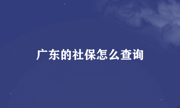 广东的社保怎么查询