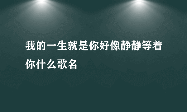 我的一生就是你好像静静等着你什么歌名