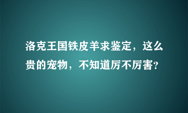 洛克王国铁皮羊求鉴定，这么贵的宠物，不知道厉不厉害？