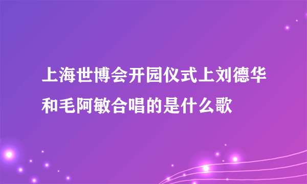 上海世博会开园仪式上刘德华和毛阿敏合唱的是什么歌