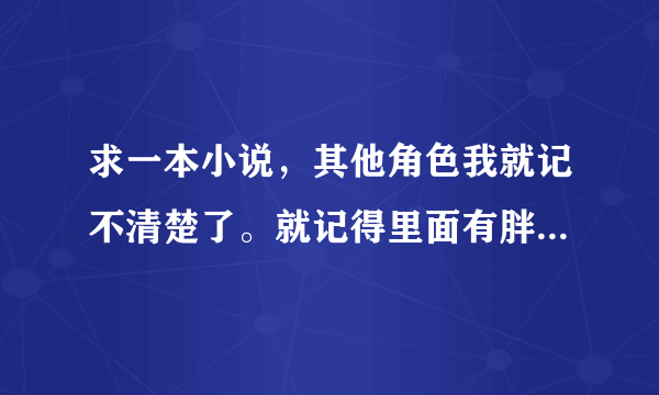 求一本小说，其他角色我就记不清楚了。就记得里面有胖子，骑着一头驴，自称是阳光下的杀手。