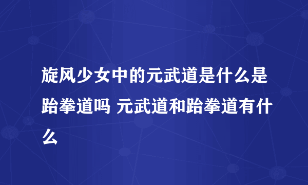 旋风少女中的元武道是什么是跆拳道吗 元武道和跆拳道有什么