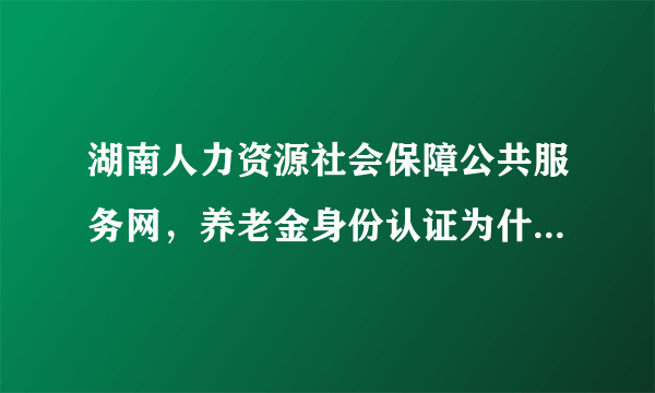 湖南人力资源社会保障公共服务网，养老金身份认证为什么打不开