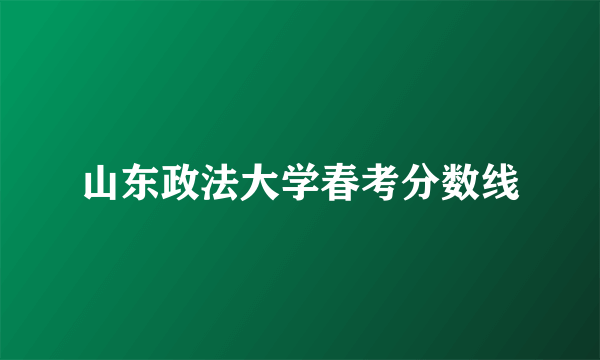 山东政法大学春考分数线