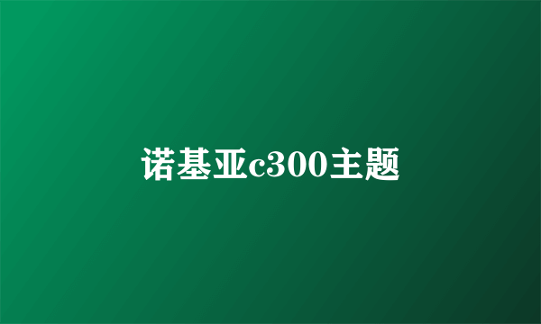 诺基亚c300主题